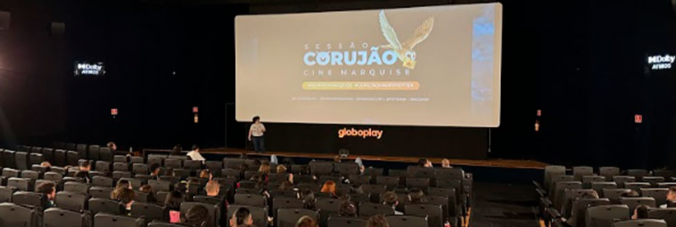 Como Harry Potter pode ajudar a Warner a ir além do cinema e se