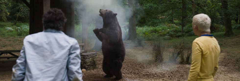 O urso do pó branco', 'Sombras de um crime', 'Demon Slayer': as estreias no  cinema